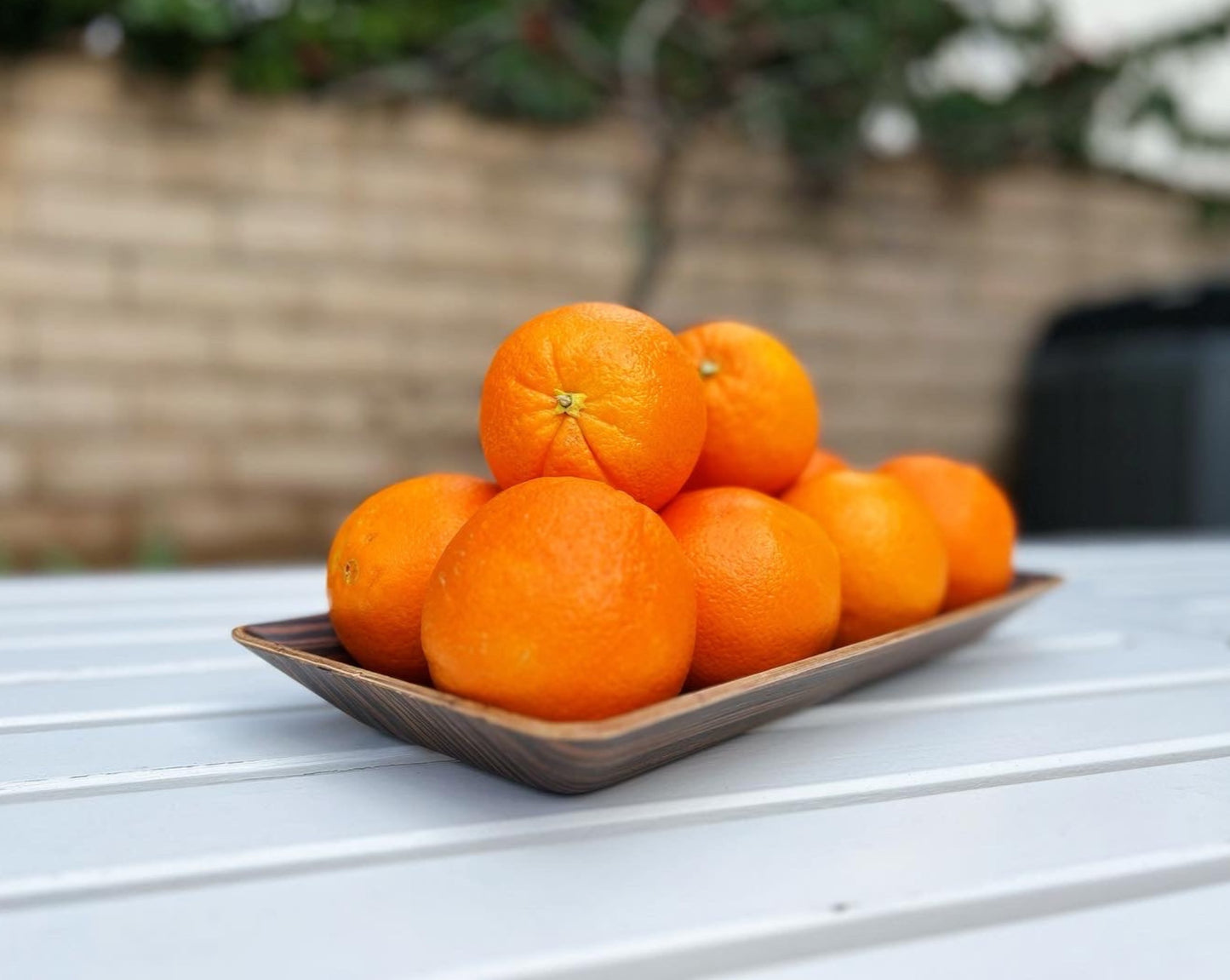 Rectangular Serving Tray