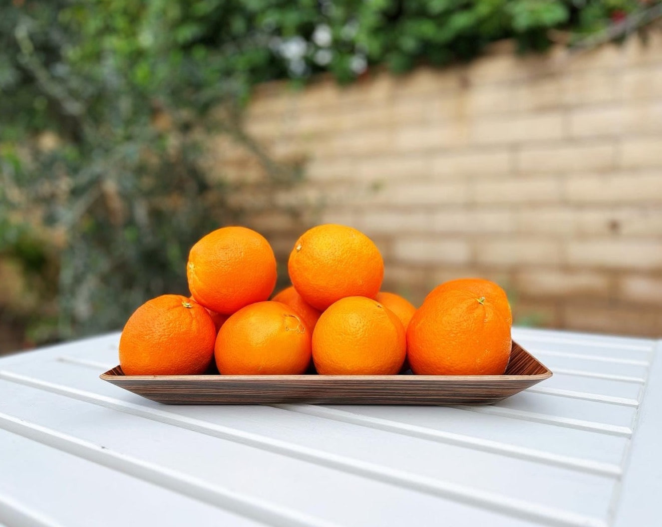 Rectangular Serving Tray