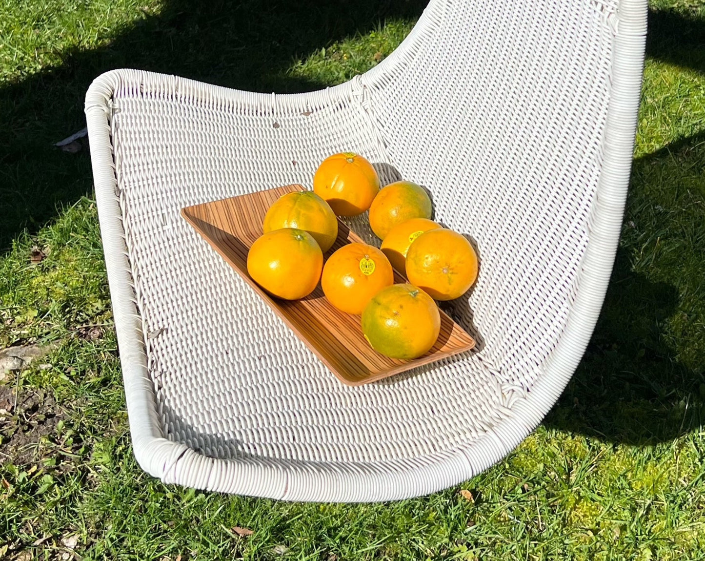 Rectangular Serving Tray