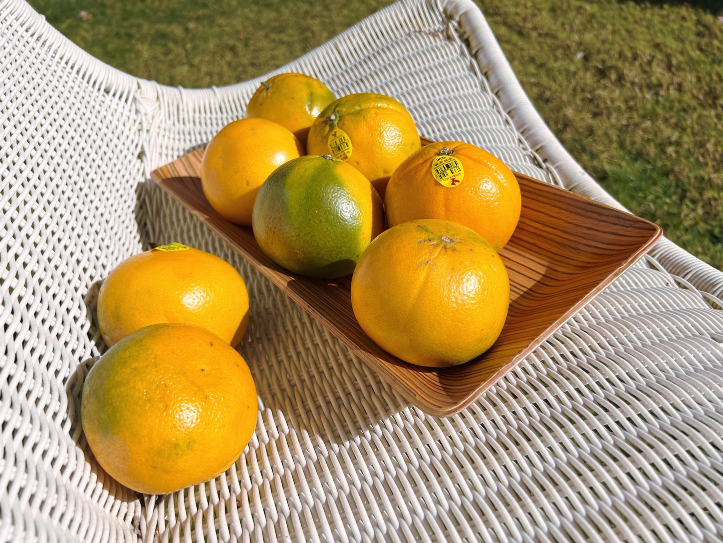 Rectangular Serving Tray