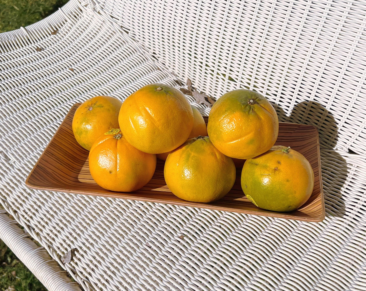 Rectangular Serving Tray